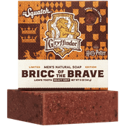 Bricc of the Brave - Fresh Start