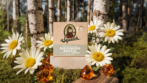 Birchwood Breeze - Simple Touch