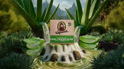 Cool Fresh Aloe - Soft Layer