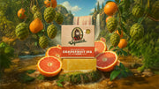 Grapefruit IPA - Daily Comfort
