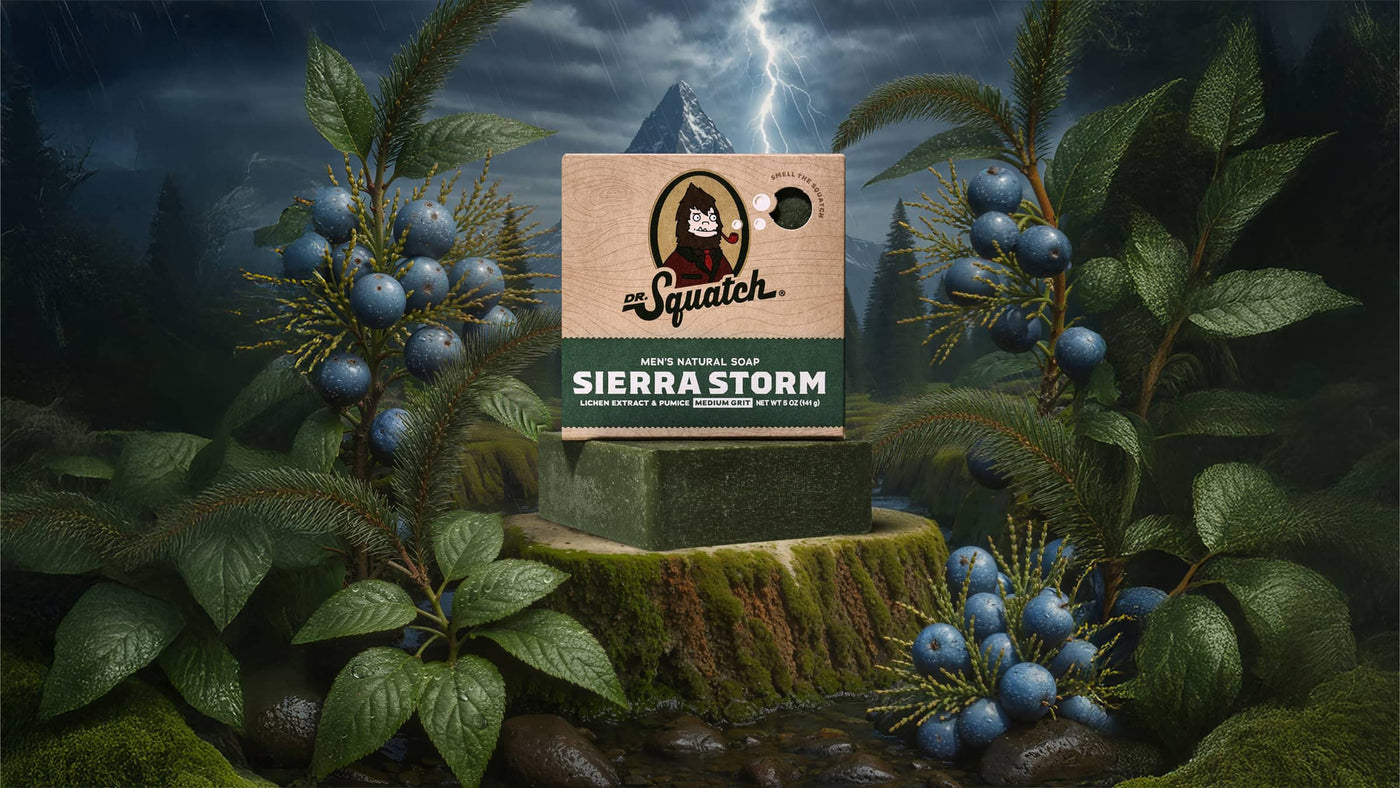 Sierra Storm - Fresh Notes