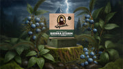 Sierra Storm - Fresh Notes