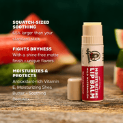 Lip Balm 4-Pack - Gift Ready
