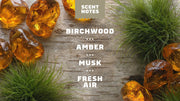 14 oz Birchwood Breeze Body Wash - Modern Blend