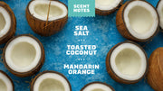Coconut Castaway Full & Thick Shampoo - Soft Glow