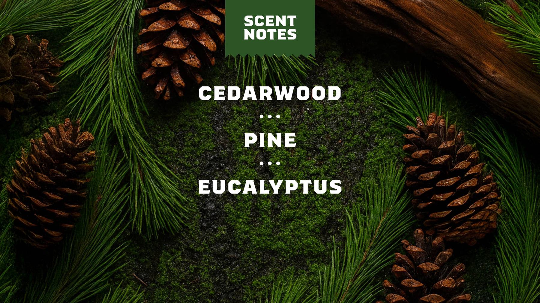 Easy Glide Shave Butter Pine Tar - Clean Bundle
