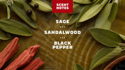 14 oz Sandalwood Summit Body Wash - Fresh Notes