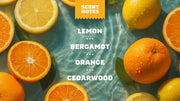 Summer Citrus Shampoo - Modern Blend