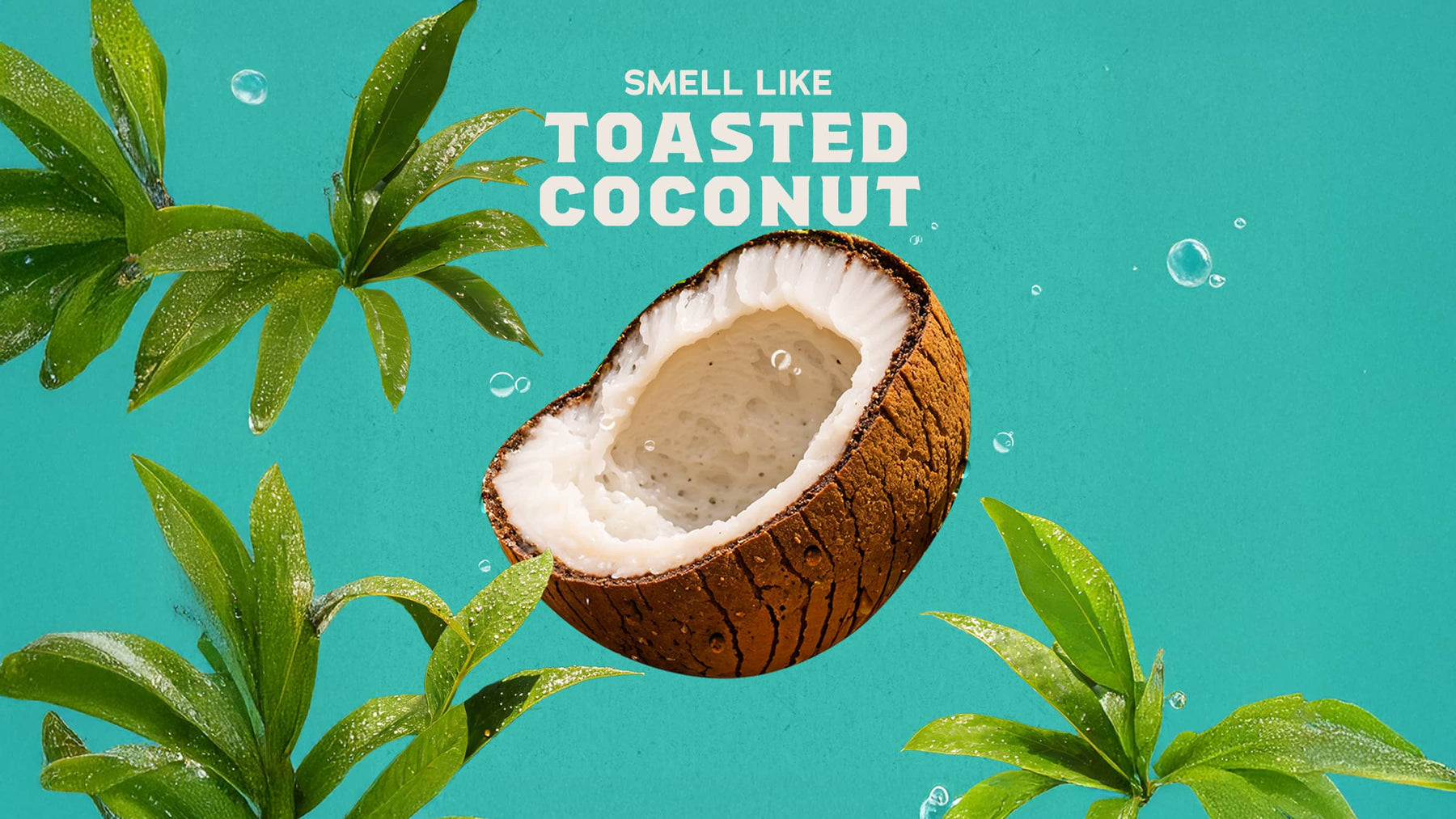Coconut Castaway - Clean Mood