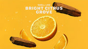 14 oz Summer Citrus Body Wash - Warm Blend