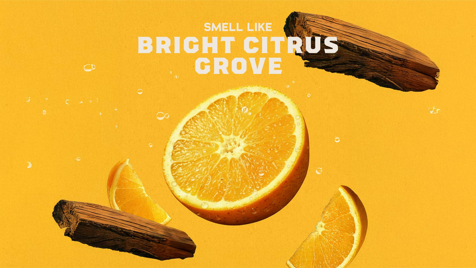 Summer Citrus Shampoo - Modern Blend